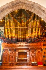 The organ