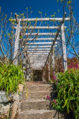The Fig Pergola