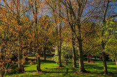 The Ornamental Lawns