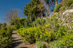 Ventnor Botanic Garden