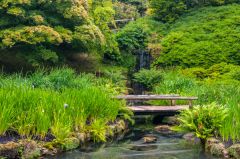 A footbridge and waterfall