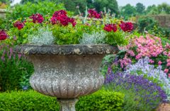 An urn in the formal gardens