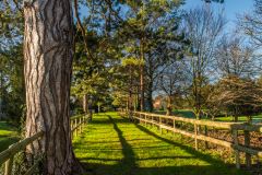 Atop the outer bailey earthworks