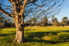 Northern lines of earthwork defences