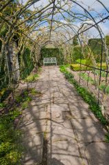 A shaded walk in spring