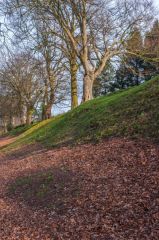 From the bottom of the ditch