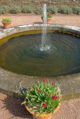 A small fountain by the summerhouse
