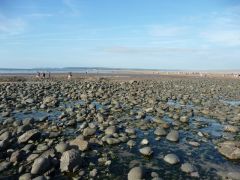 The pebble beach at Westward Ho! (c) Lewis Clarke