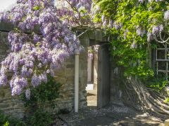 Image used by kind permission of Whalton Manor