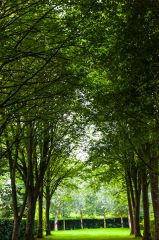 Looking down the 'nave'