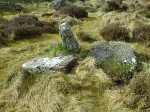 White Cow Wood Cairn