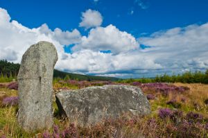 Whitehill Stone Circle