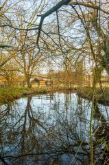 Looking over the moat