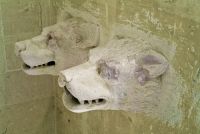 Wolf head carvings