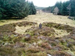 Wormy Hillock Henge Monument