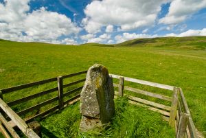 Yarrow Stone