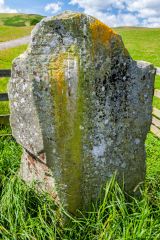 A closeup of Yarrow Stone