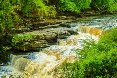 Lower Falls at Aysgarth