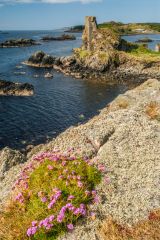 Dunyvaig Castle, The castle from the east