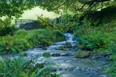 The gill flowing out of Tarn How