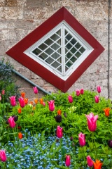 Flowers outside a diamond-shaped window