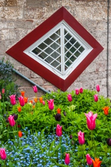 Flowers outside a diamond-shaped window