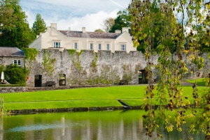 The house and pool