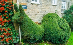 A curious topiary snail