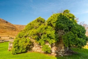 The 15th century roofless chapel