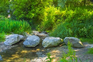 Swallowhead Springs