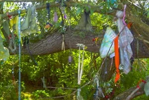 Offerings at the holy well