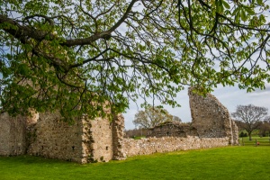 Ruins of the abbey Fulling Mill