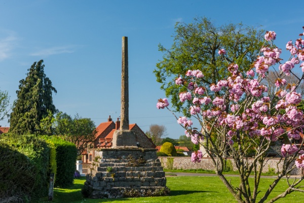 Binham Market Cross and village green