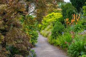 Paradise Walk