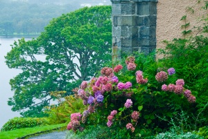 Coniston Water from Brantwood