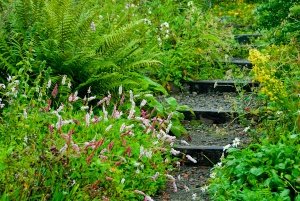 The path to Brantwood pier