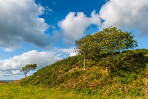 The south earthwork defences