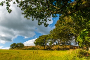 Cadbury Castle hillfort