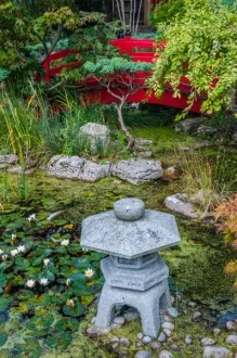 The Japanese Garden