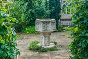 The Queen's Garden