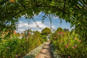 A colourful garden arch and path