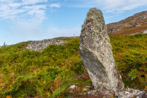 An orthostat (standing stone) at Collie na Borgie
