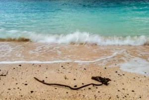 Coral Beach, north of Claigan