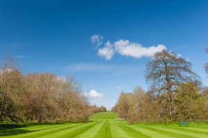 Capability Brown vistas