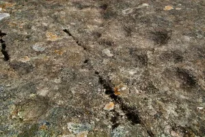 Cup and ring marked stone