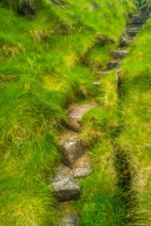 Climbing the last few stone steps