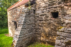 The side wall and buttresses