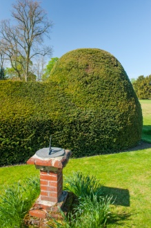 Sundial and topiary hedges