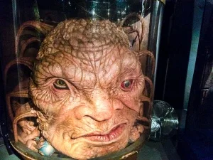 The Face of Boe