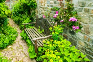 A quiet garden bench